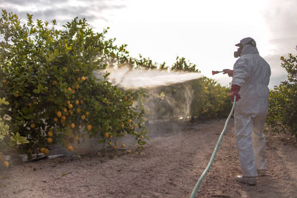 Trusted Garden Home Whitford, OR Pest Control Experts