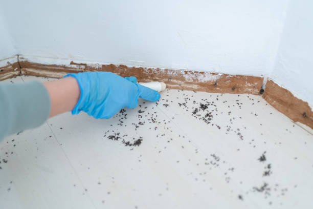Best Bird Control  in Garden Home Whitfd, OR
